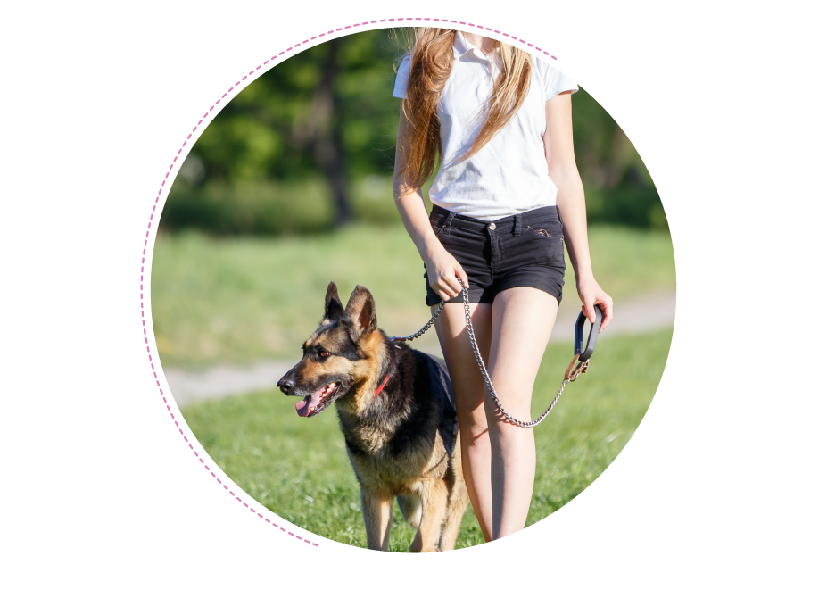 A young person walking their dog in a summery field